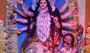 रतलाम के जवाहर नगर में सजा है माँ दुर्गा का भव्य दरबार