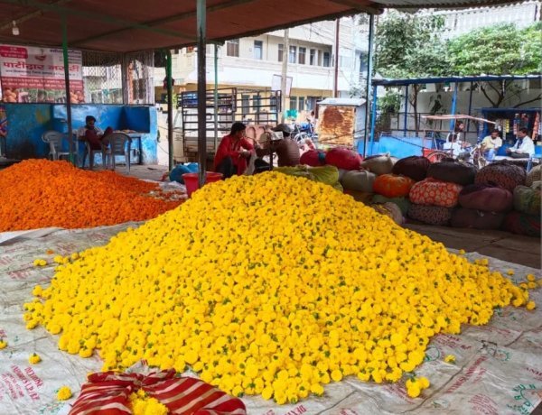 रतलाम में तत्कालीन कलेक्टर मिशा सिंह का मनमाना फैसला: निगम की जमीन पुलिस विभाग को बांटी