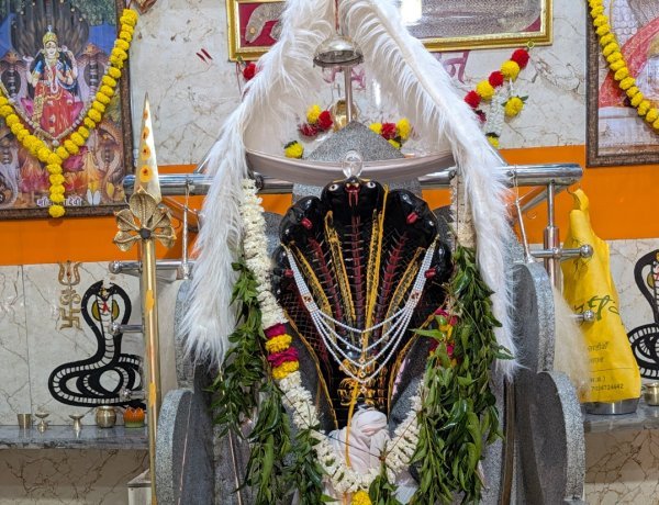 ​आस्था और अध्यात्म का केंद्र बने रतलाम के शिवशक्ति वासुकी धाम में गूंजेंगे वैदिक मंत्र